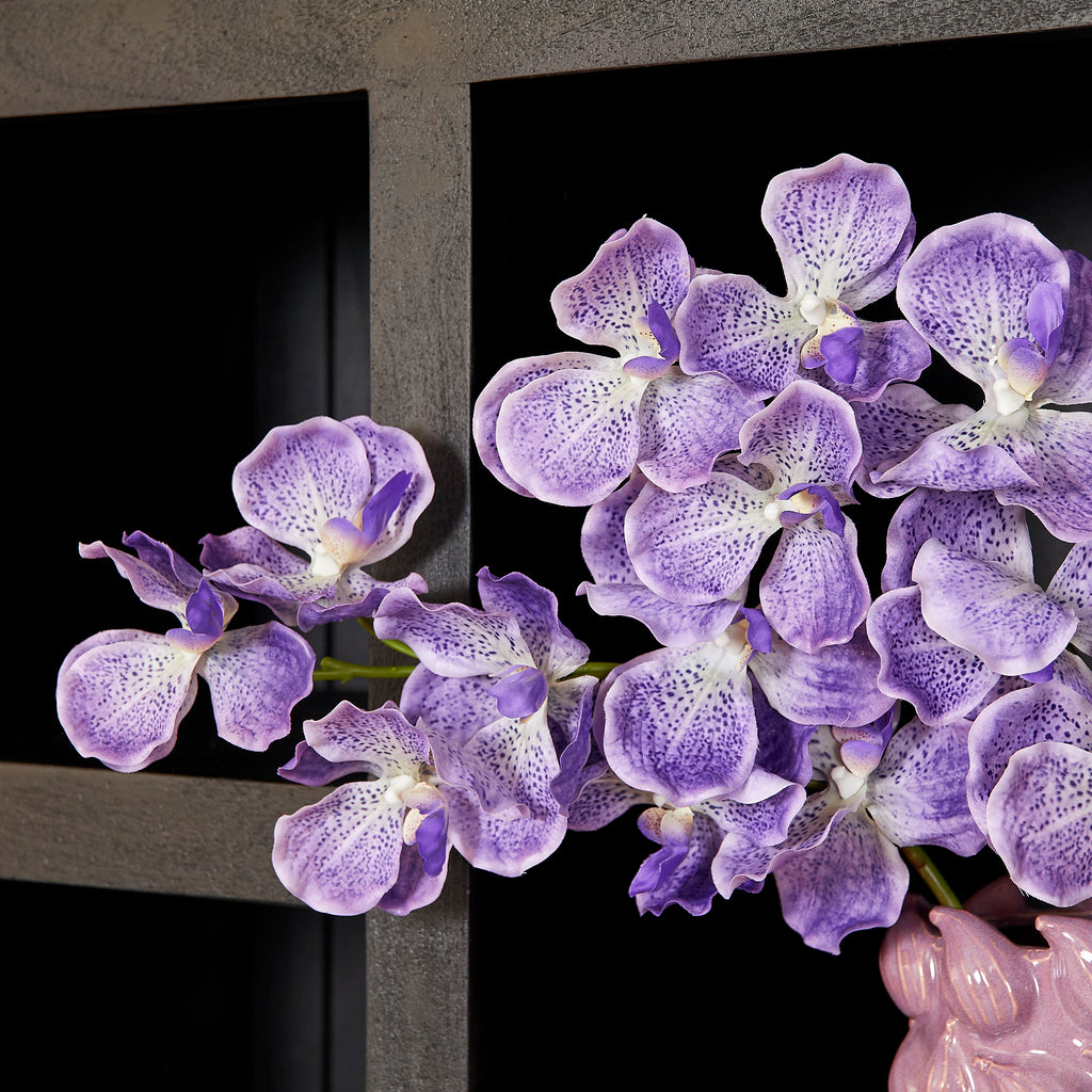 Bücherregal Bali Schwarz – Mangoholz mit modernem Design, 5 offene Fächer & 2 Türen mit Push-to-Open, 90 x 45 x 200 cm