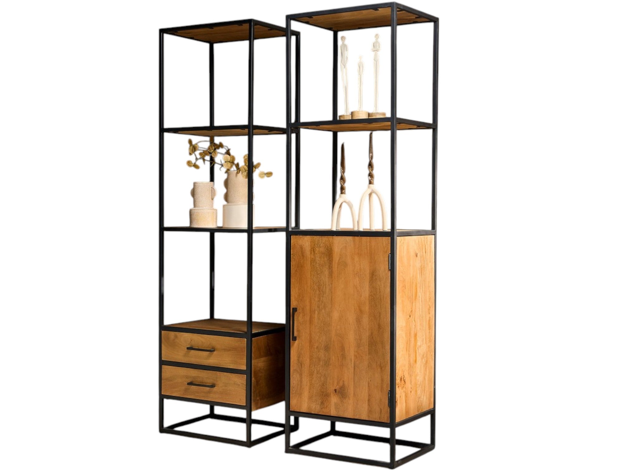 Bücherregal Delta Natur – Regal aus Mangoholz mit Metallrahmen in Schwarz, 1 Tür & Ablage, 55 x 45 x 200 cm