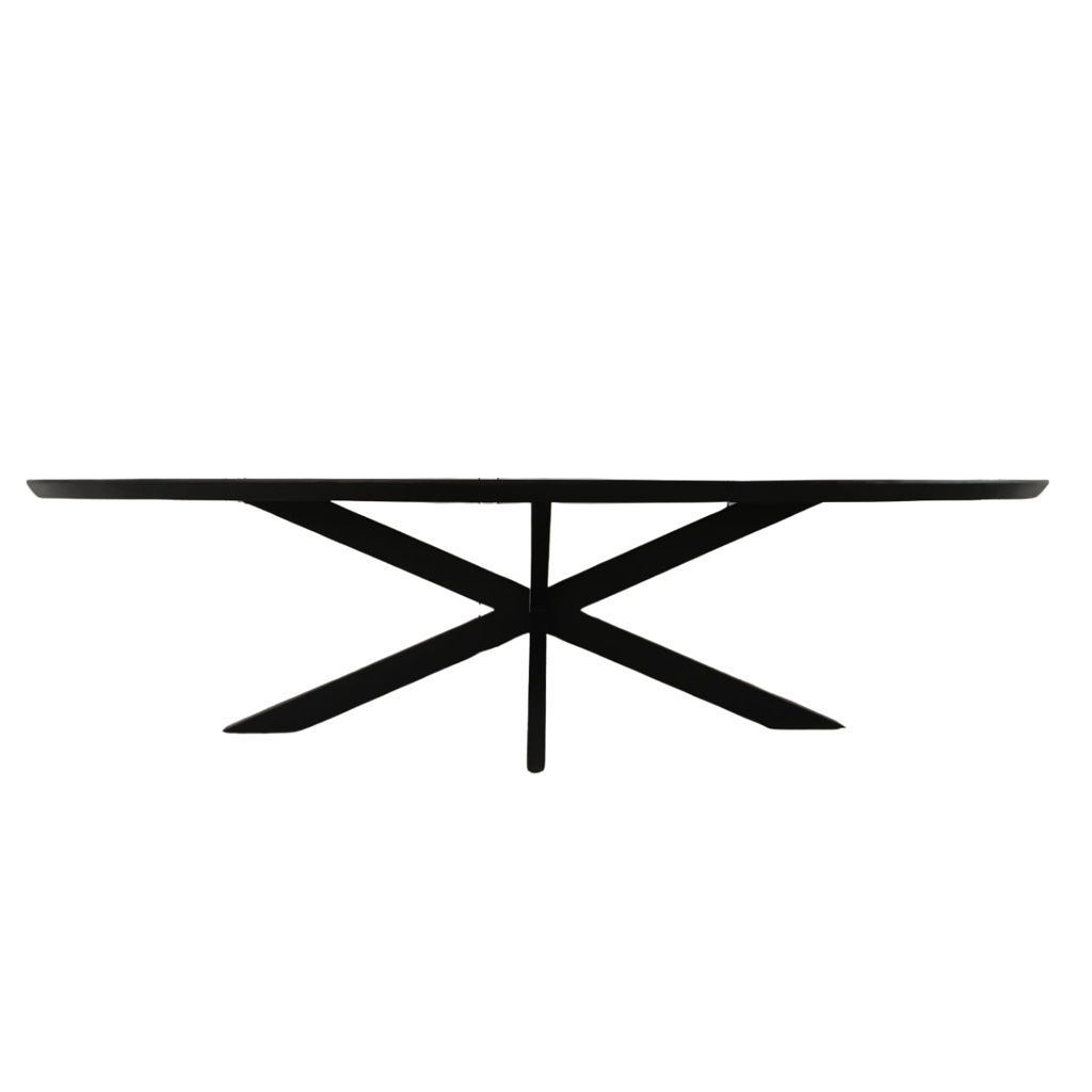 Esstisch Jacky Schwarz Oval 240x110x76 cm – moderner Mangoholztisch mit Metallgestell